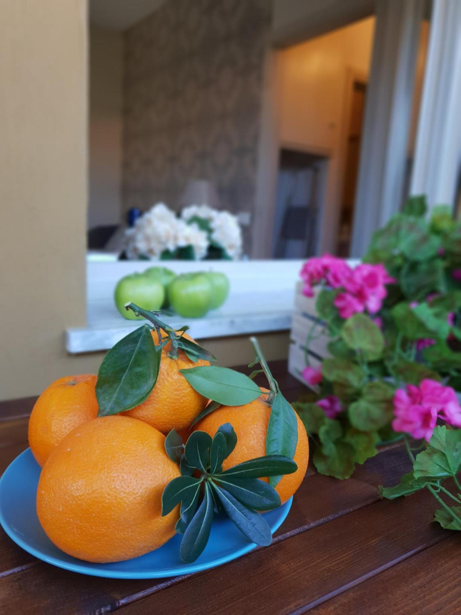 Versilia Apartment Forte dei Marmi Eksteriør billede